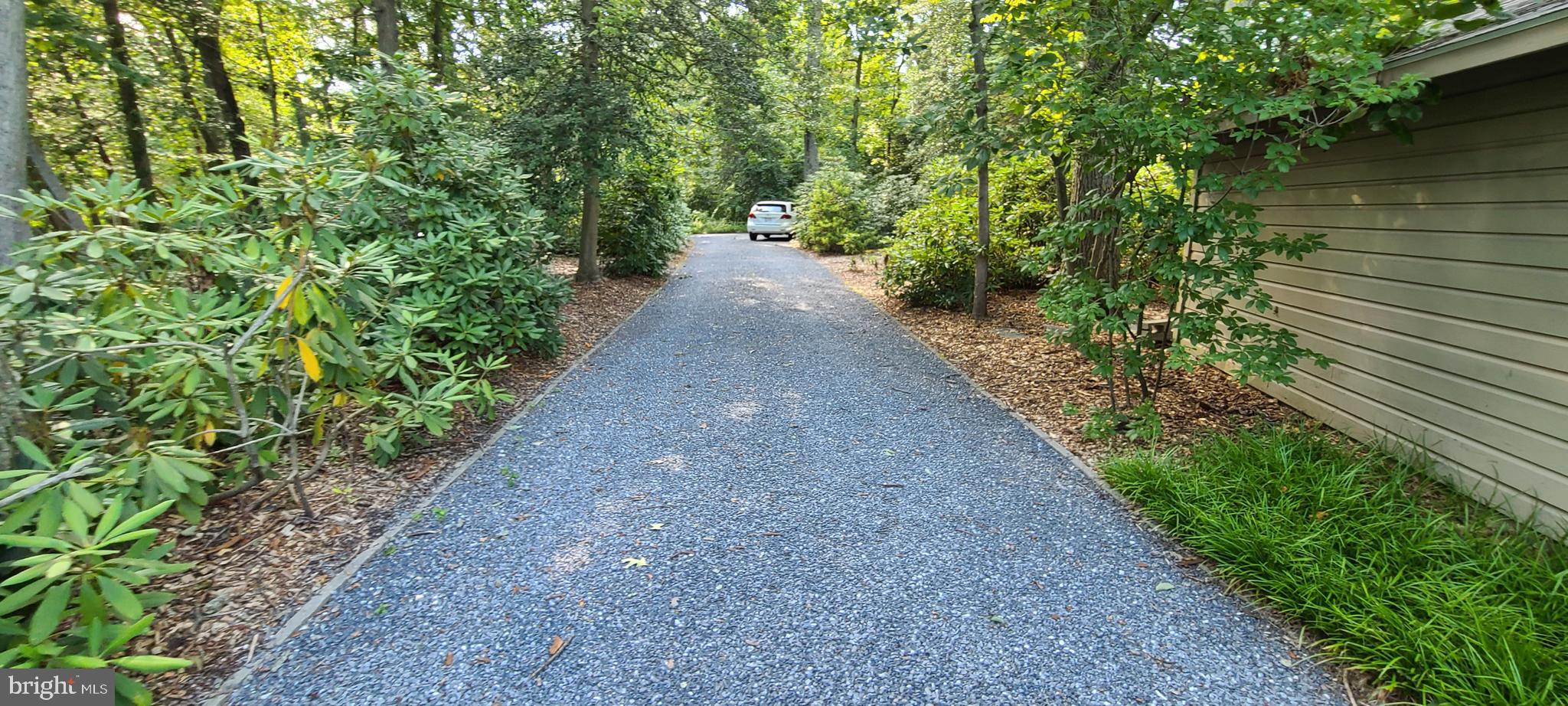 317 Thomas Road Severna Park, MD 21146 - Photo 23 of 56 Other leg of 120 ft circle driveway