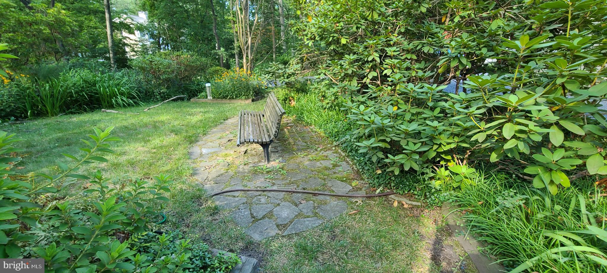 317 Thomas Road Severna Park, MD 21146 - Photo 26 of 56 Front Garden area