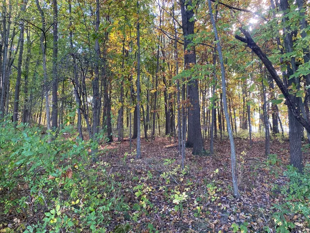 $274,900 | 9540 Vincent Avenue Southeast, Alto, MI 49302