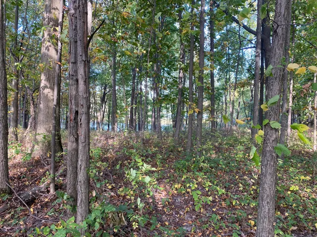 $274,900 | 9540 Vincent Avenue Southeast, Alto, MI 49302