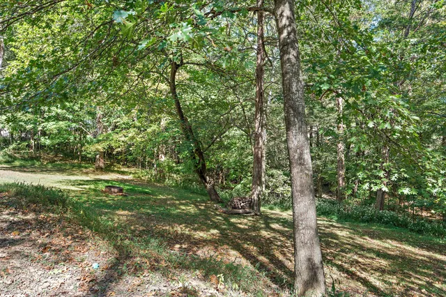 a big yard with lots of green space and tree