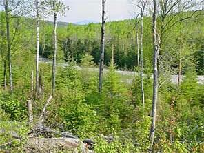 779 Rumford Road Oquossoc, ME 04964 - Photo 14 of 23 Photo