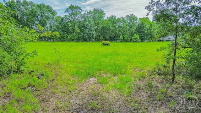 $90,000 | 0 Springfield Egypt Road, Springfield, GA 31329