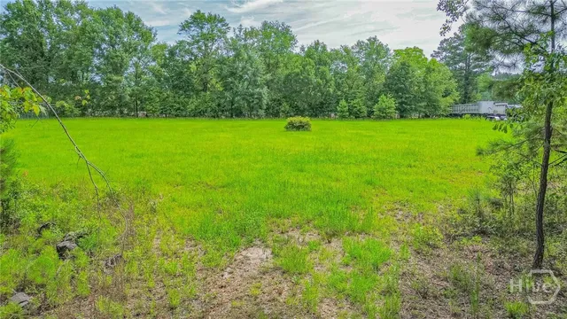 $90,000 | 0 Springfield Egypt Road, Springfield, GA 31329