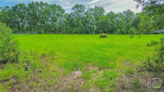 $90,000 | 0 Springfield Egypt Road, Springfield, GA 31329