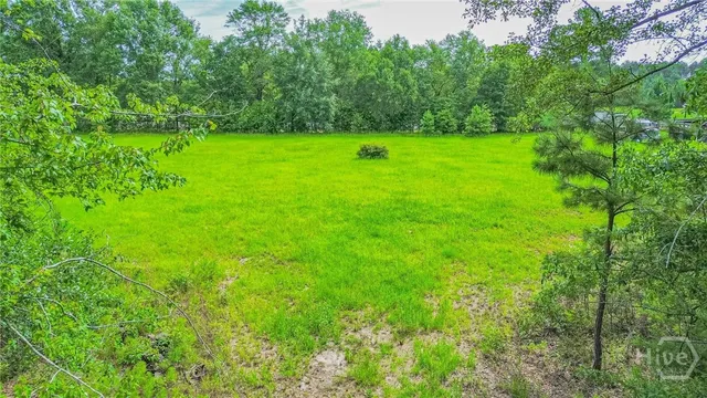 $90,000 | 0 Springfield Egypt Road, Springfield, GA 31329