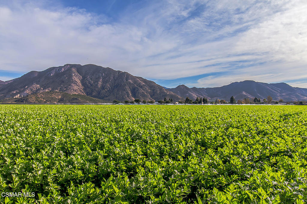 4030 Villamonte Court Camarillo, CA 93010 - Photo 41 of 42 a view of an outdoor space and a mountain view