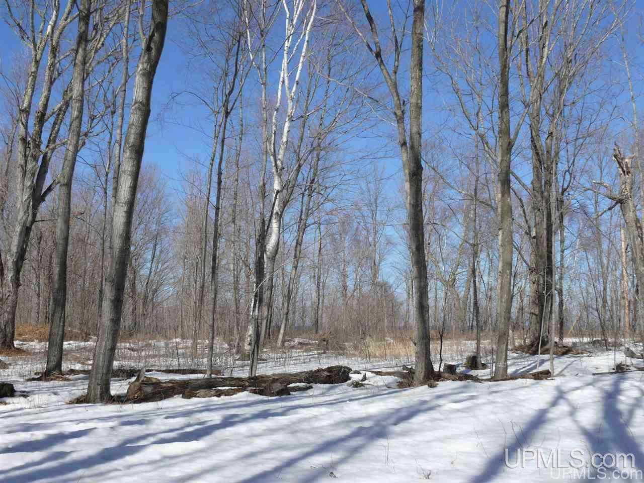 Tbd Tbd Lighthouse Rd/co Road, Unit 4 Big Bay, MI 49808 - Photo 4 of 5 Gallery Image 4
