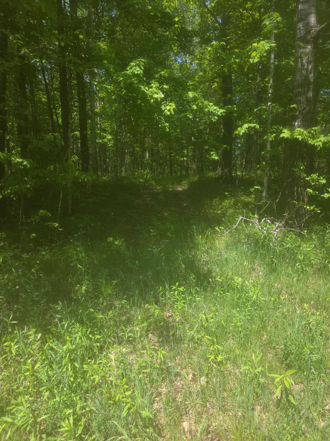 0 26 1/2 Cumberland, WI 54829 - Photo 5 of 11