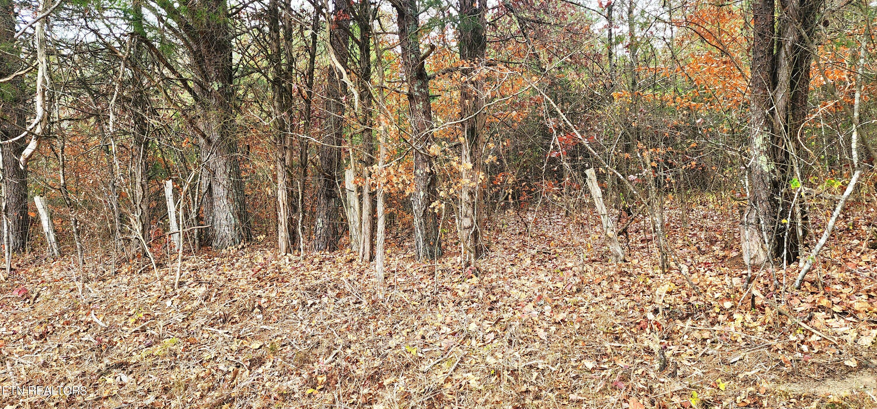 Bull Run Road Luttrell, TN 37779 - Photo 12 of 22 20231117_153530