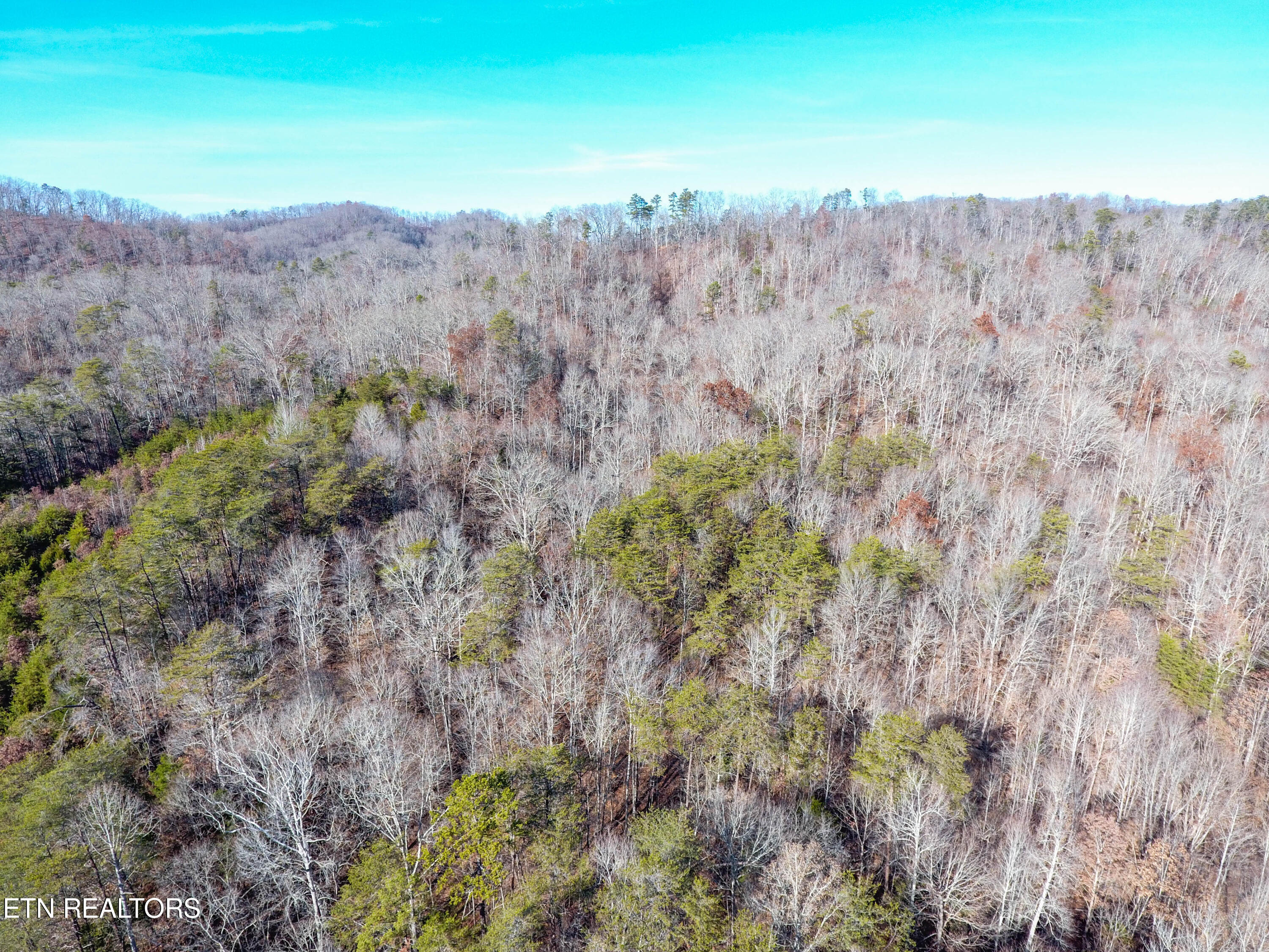 Bull Run Road Luttrell, TN 37779 - Photo 16 of 22 DJI_0142