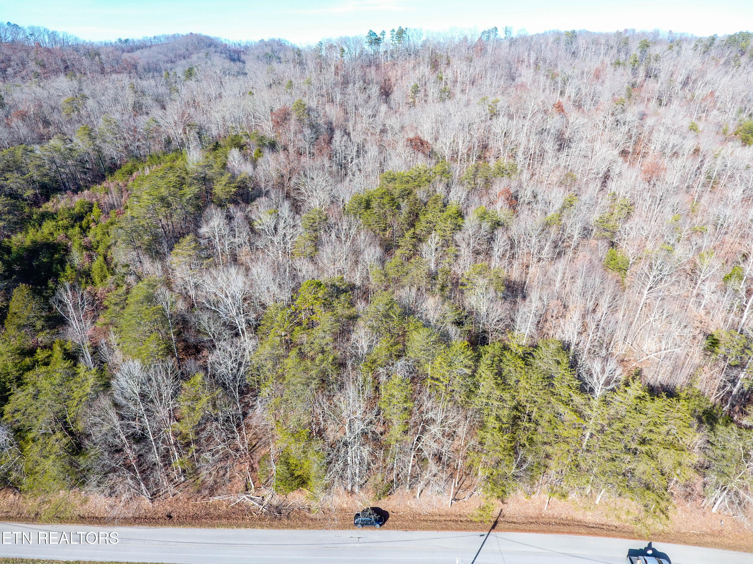 Bull Run Road Luttrell, TN 37779 - Photo 17 of 22 DJI_0144