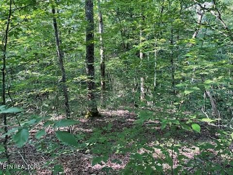 Bull Run Road Luttrell, TN 37779 - Photo 3 of 22 IMG952756