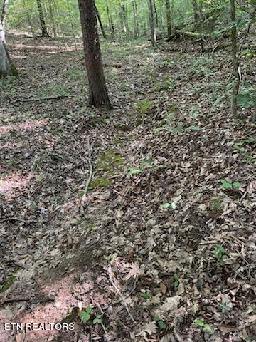 Bull Run Road Luttrell, TN 37779 - Photo 6 of 22 IMG952754