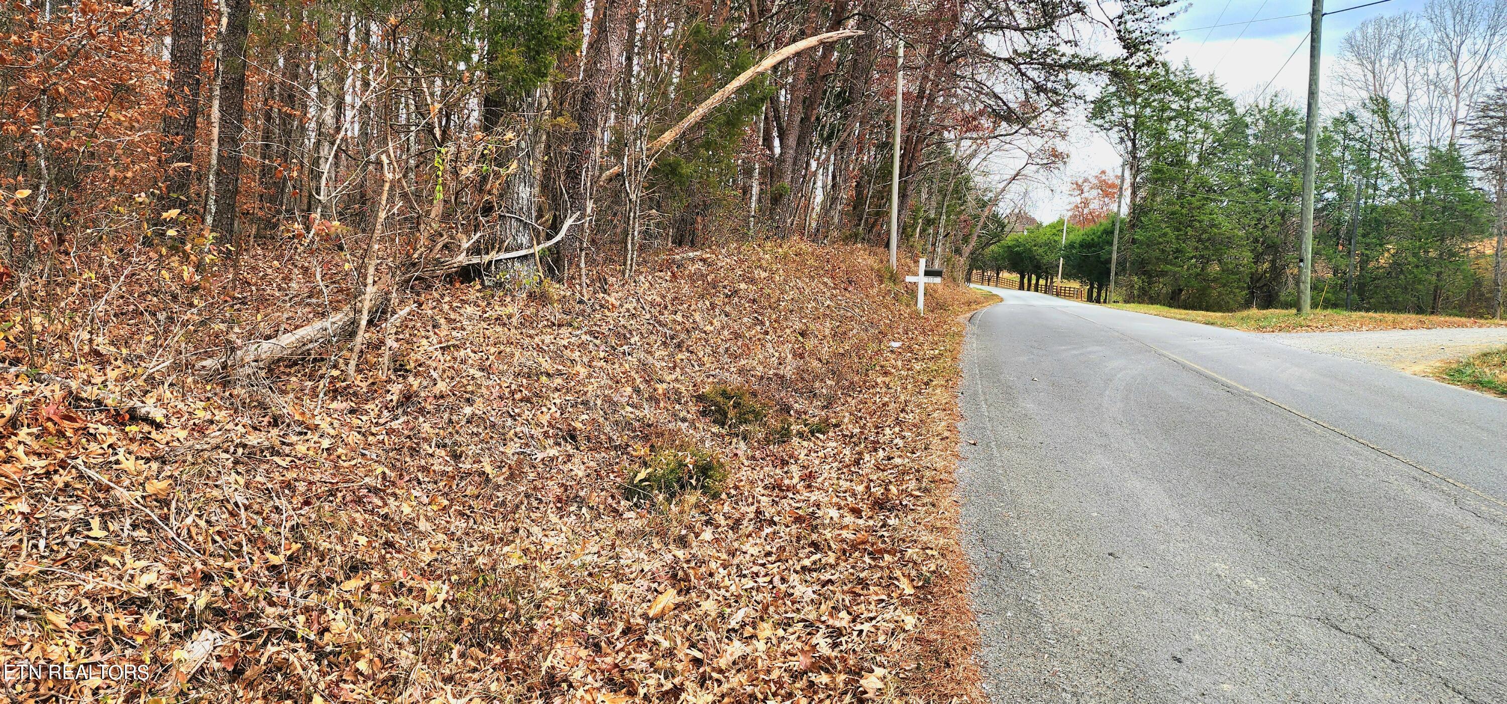 Bull Run Road Luttrell, TN 37779 - Photo 7 of 22 20231117_151644