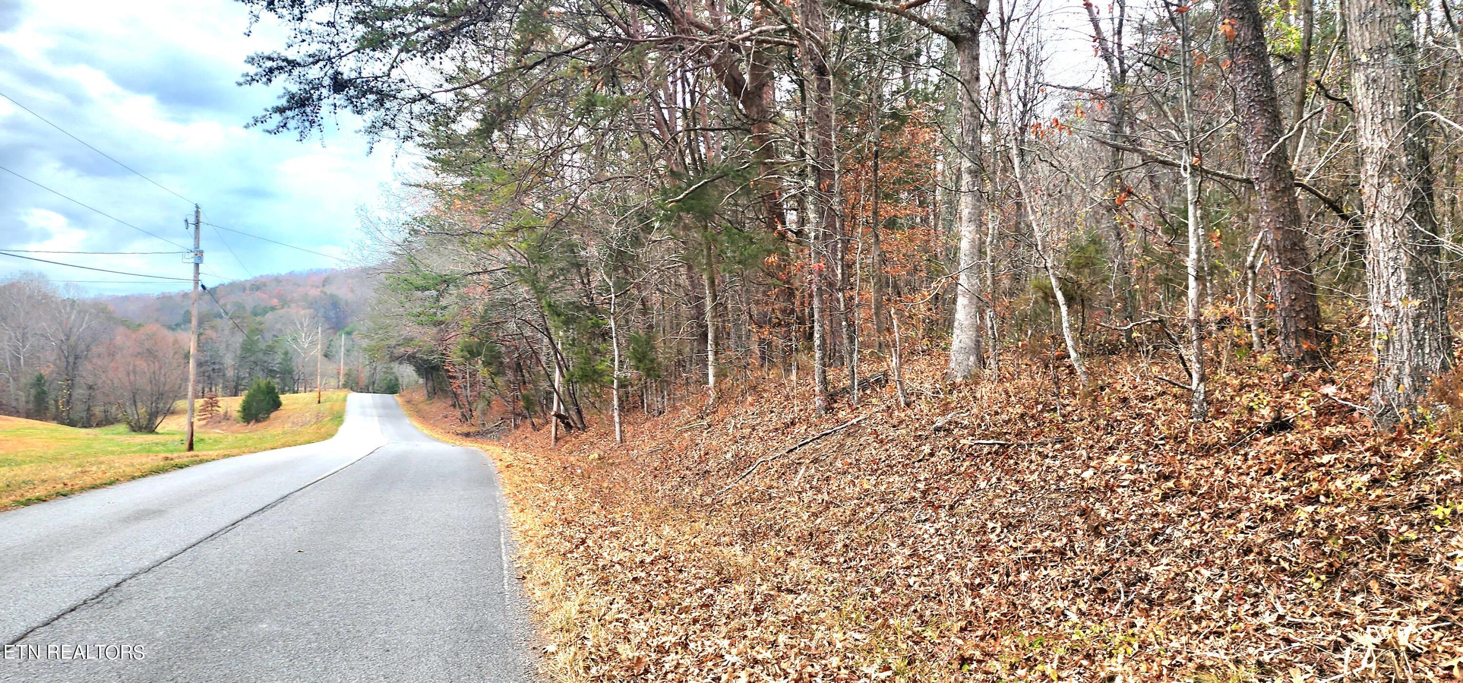 Bull Run Road Luttrell, TN 37779 - Photo 8 of 22 20231117_151720