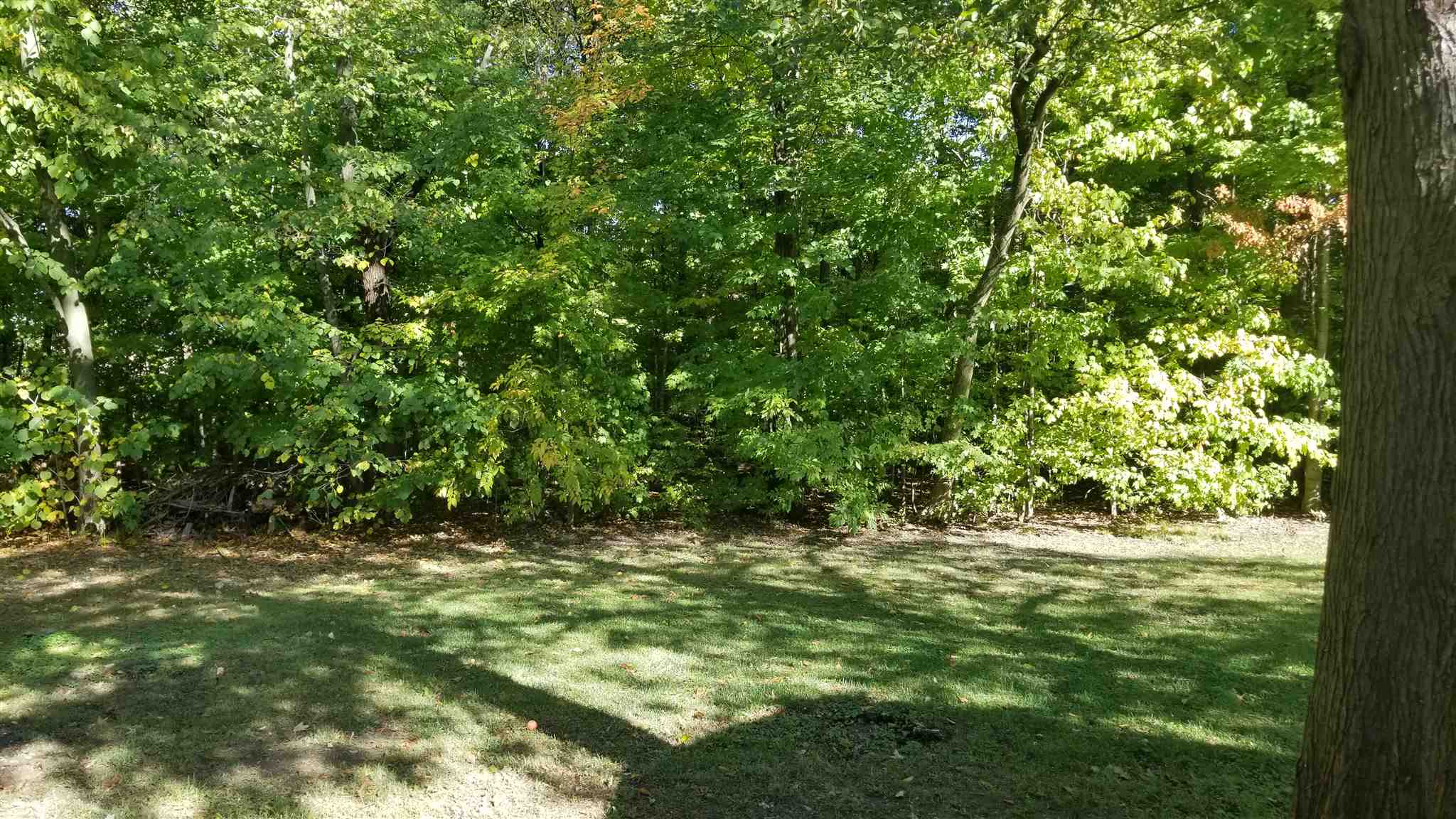 7716 Wheelock Road Fort Wayne, IN 46835 - Photo 26 of 29