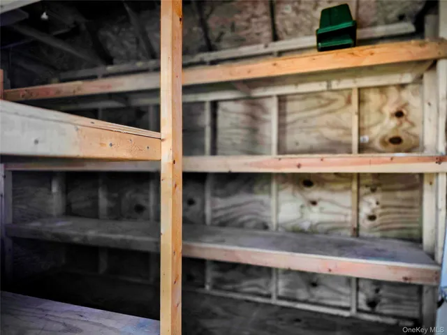 a view of a flower garden