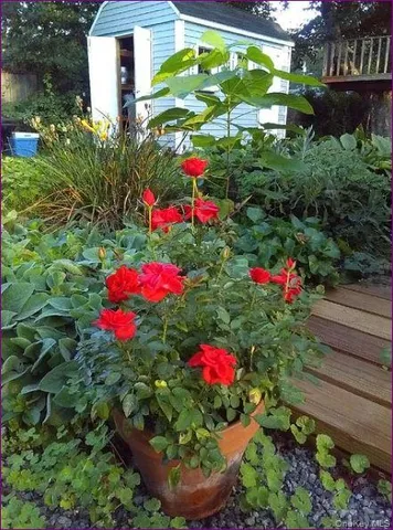 $3,100 | 20 Princeton Street, Red Hook, NY 12571