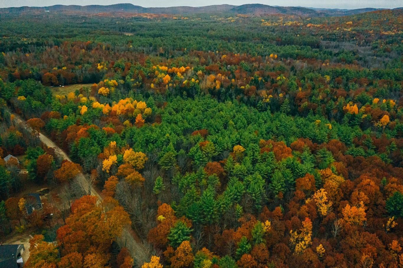 0 Spring Road West Newfield, ME 04095 - Photo 1 of 17 Drone 1