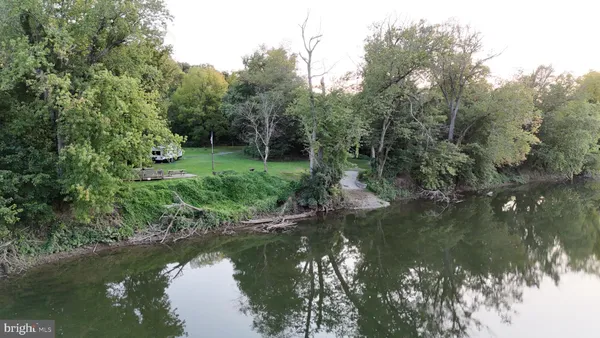 a view of a tree with a yard
