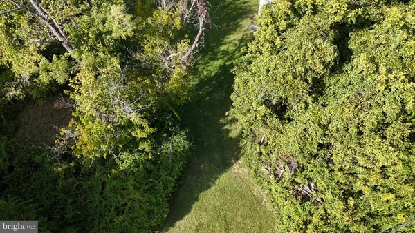 a view of a lake from a yard