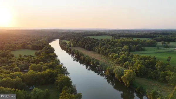 a view of a yard in a forest