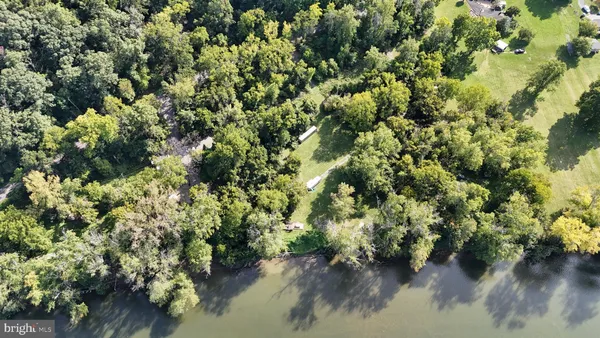 a view of a lush green forest