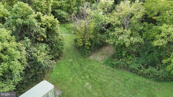 a yard with large trees