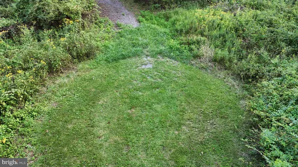 a view of a lake with a mountain in the background