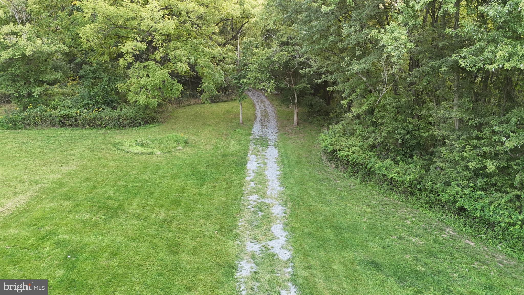Lot 8-10 Howellsville Road Boyce, VA 22620 - Photo 32 of 42 a yard with large trees