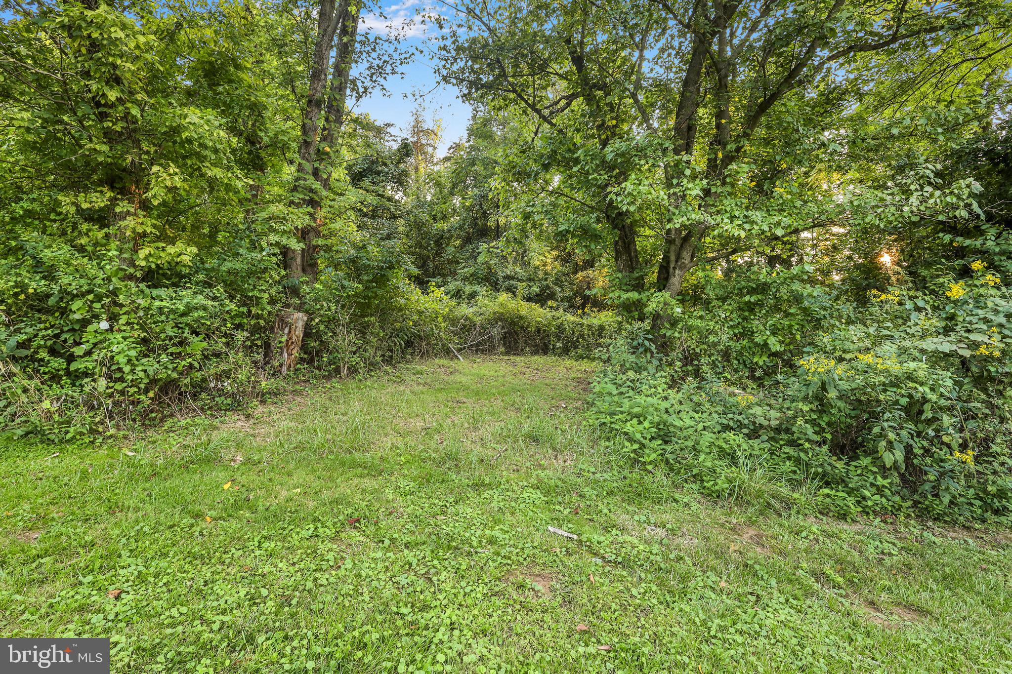 Lot 8-10 Howellsville Road Boyce, VA 22620 - Photo 40 of 42 a view of a lush green forest with large trees