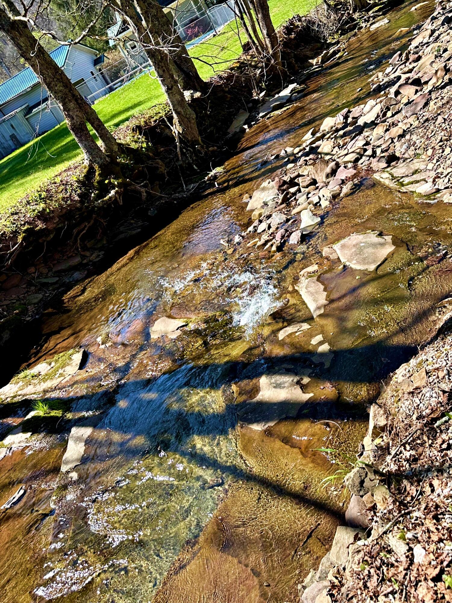 12 Co Rte 219/13 Valley Head, WV 26294 - Photo 81 of 93 creek4