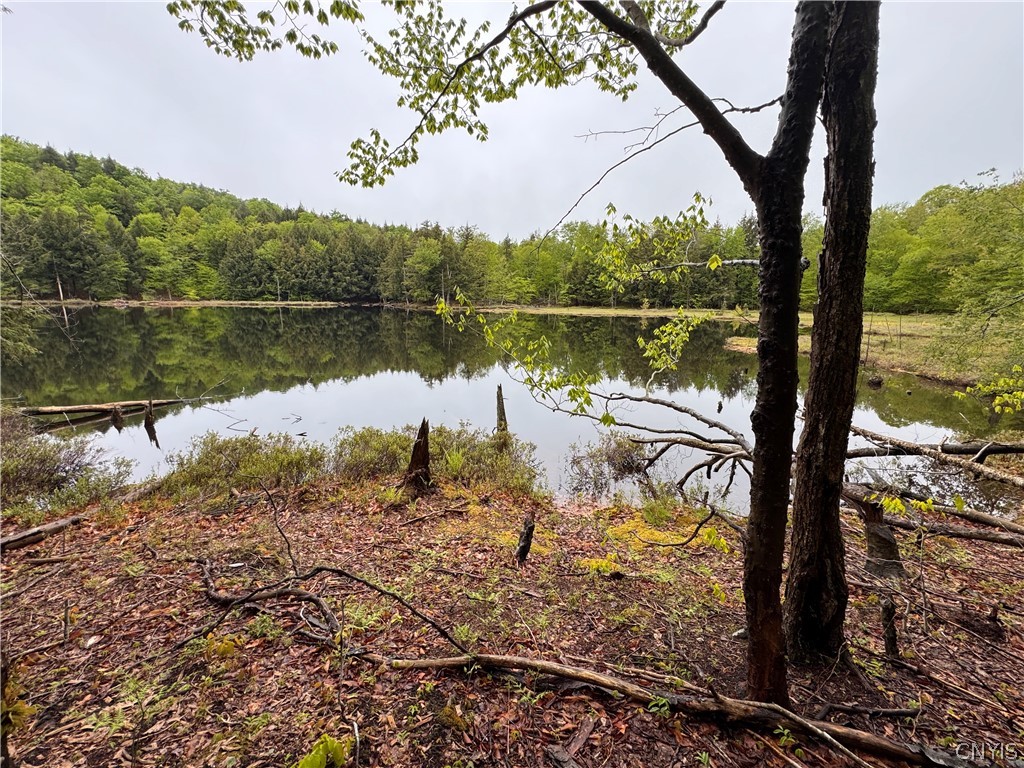 0 Hawkinsville Road Woodgate, NY 13494 - Photo 15 of 27