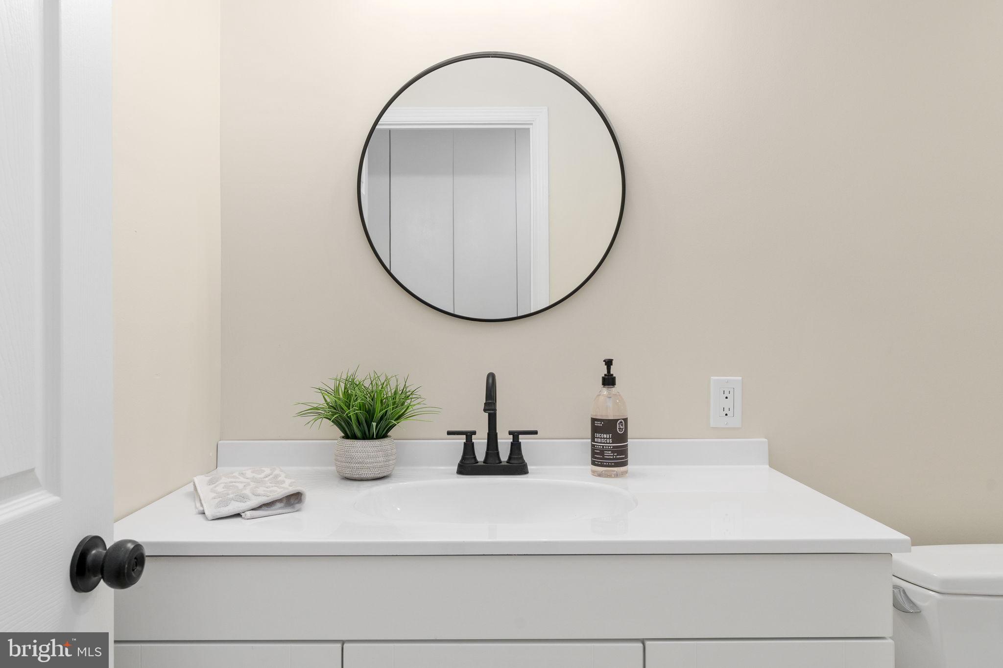 3234 Riverview Drive Triangle, VA 22172 - Photo 46 of 61 a bathroom with a sink a mirror and a potted plant