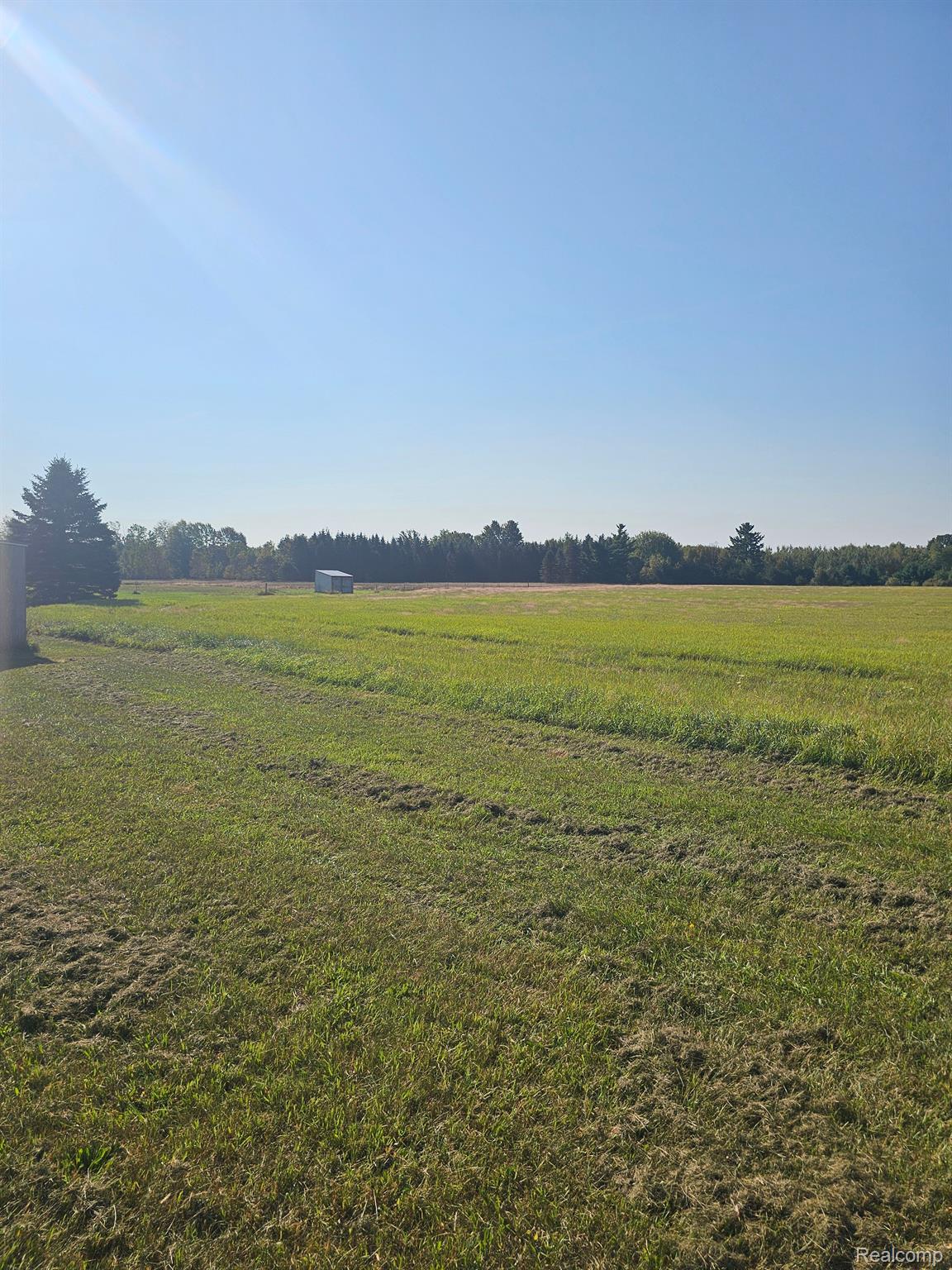 9750 East Mike And Tony Road Merritt, MI 49667 - Photo 8 of 15 Back of property