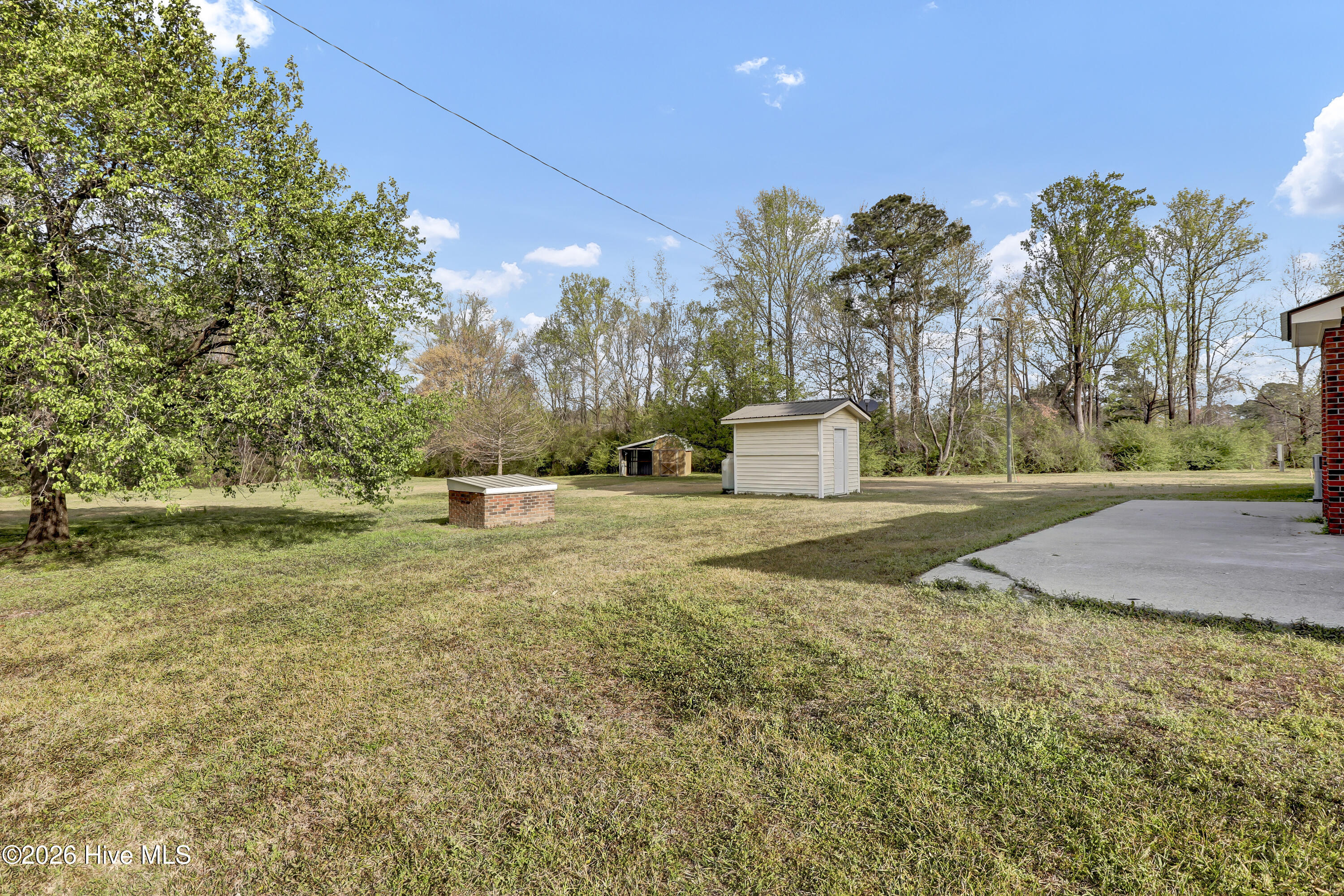 163 George Sumner Road Beulaville, NC 28518 - Photo 29 of 34 6G8A8278