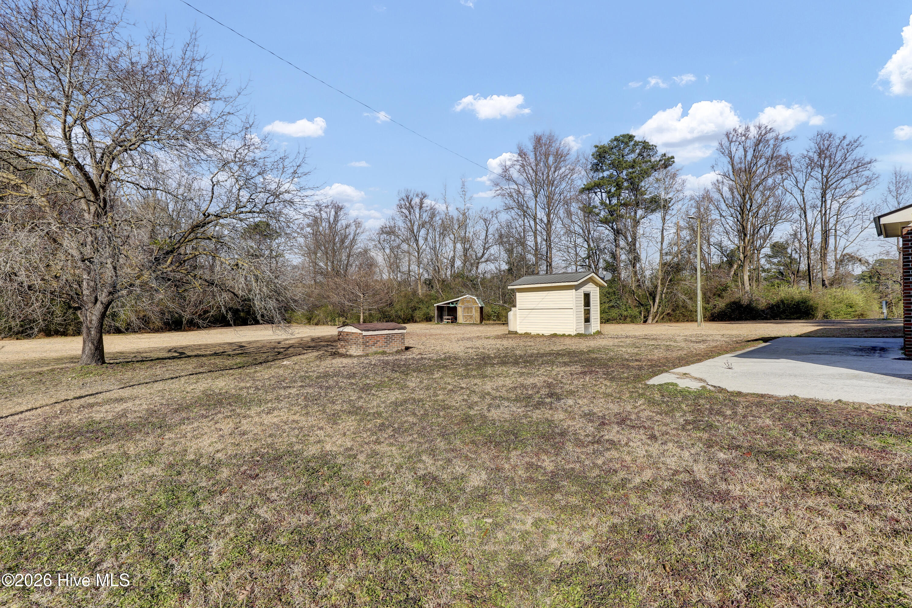 163 George Sumner Road Beulaville, NC 28518 - Photo 6 of 34 6G8A3247