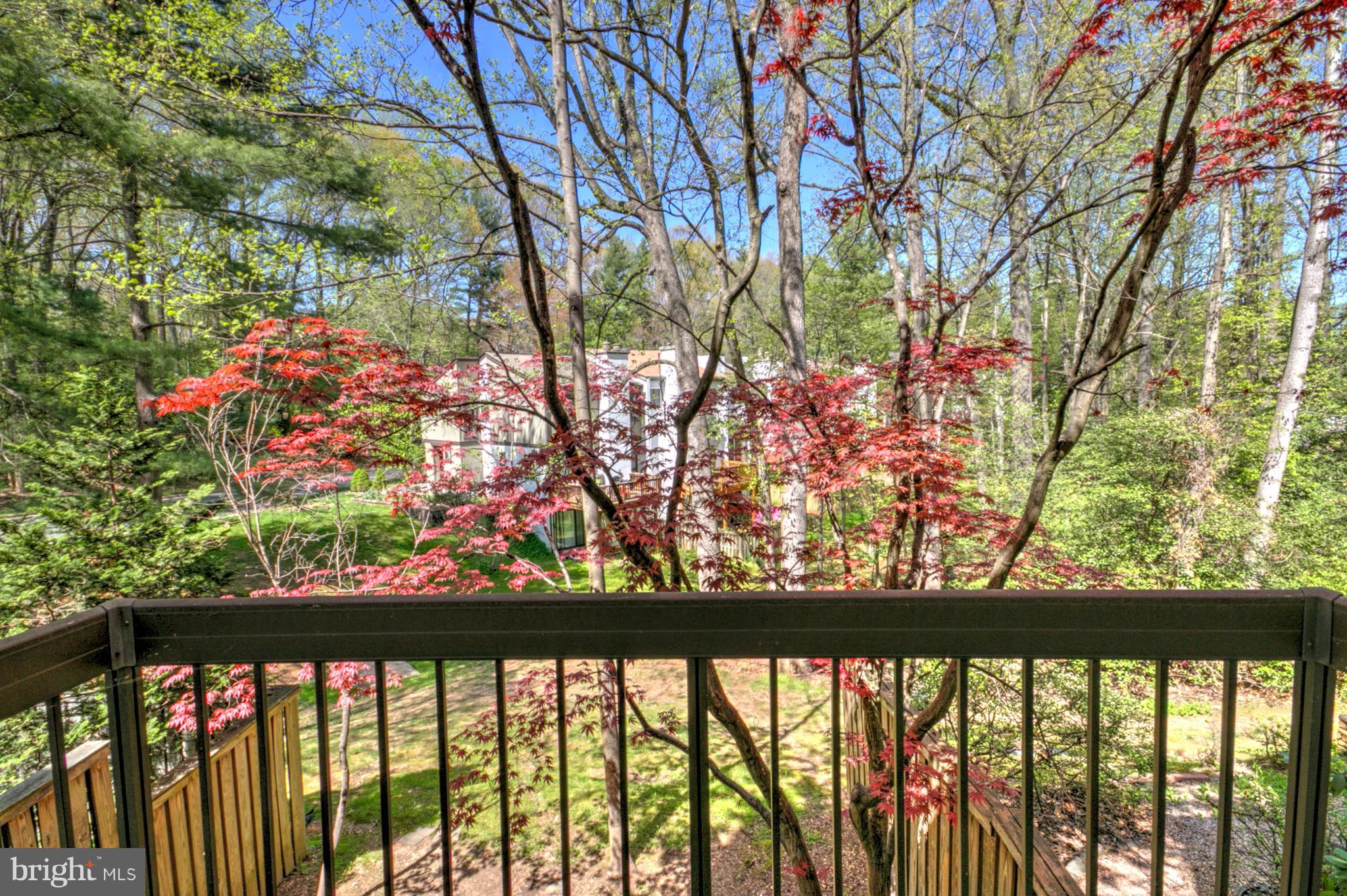 11742 Decade Court Reston, VA 20191 - Photo 2 of 30 Balcony