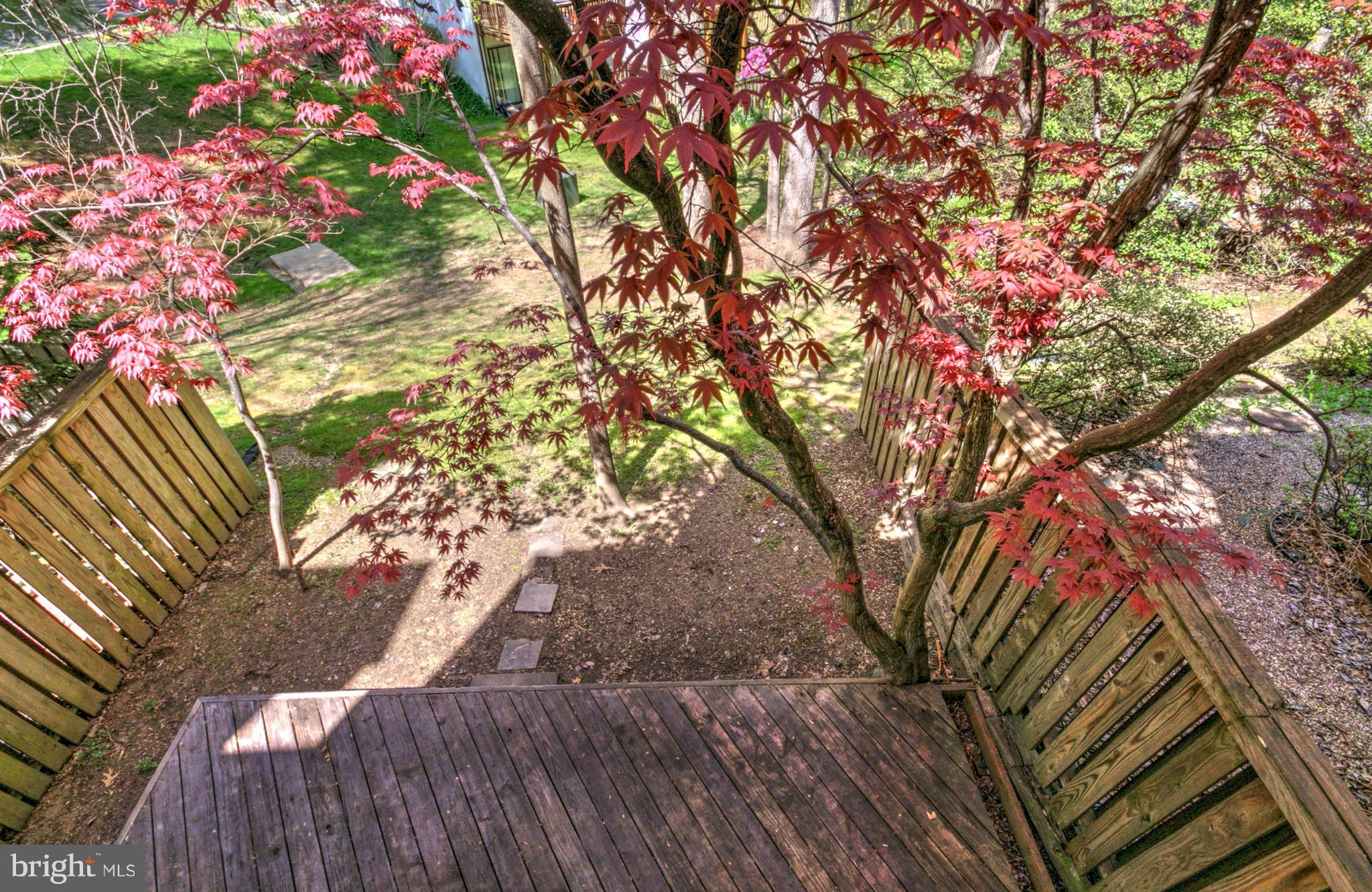 11742 Decade Court Reston, VA 20191 - Photo 10 of 30 View of Deck from Balcony