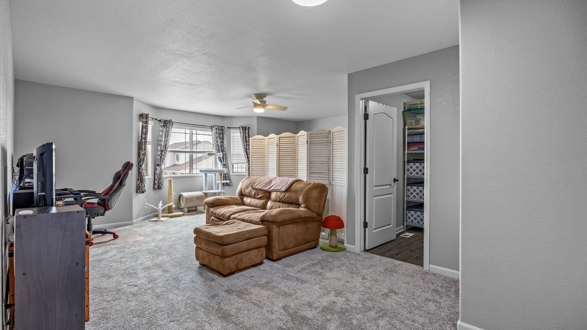 775 Hall Street Fruita, CO 81521 - Photo 7 of 18