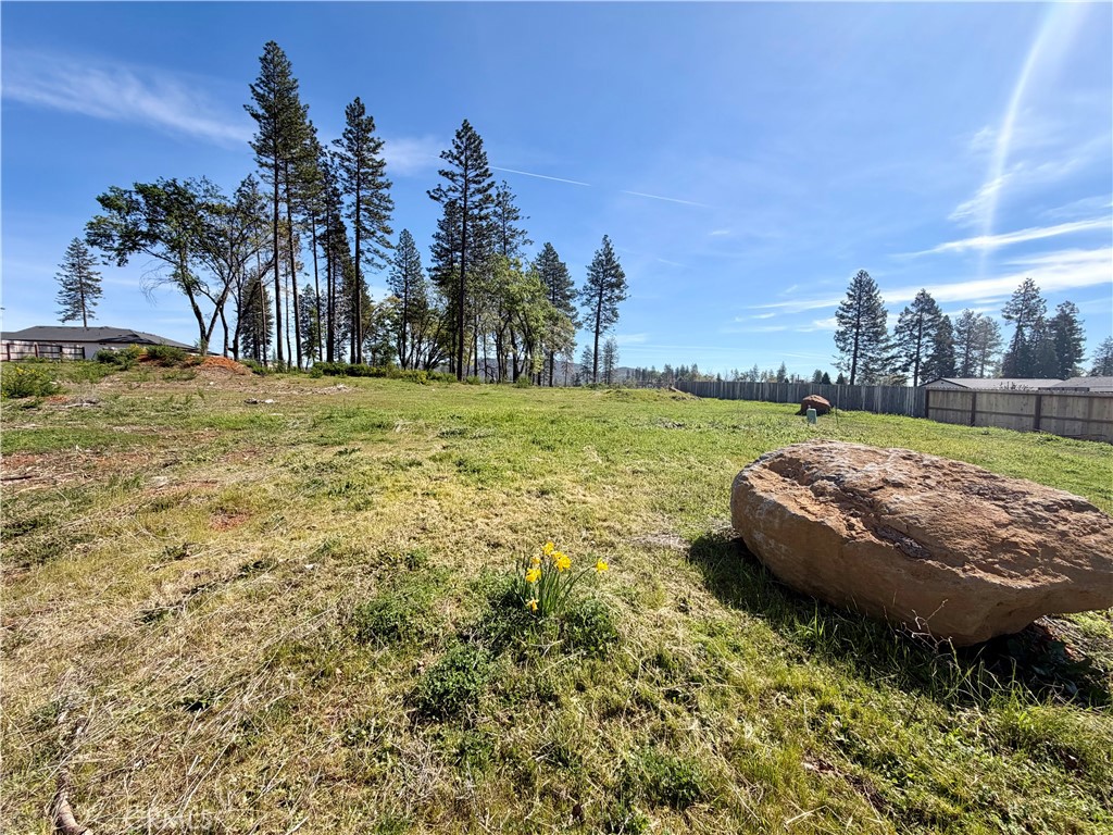 6588 Pentz Road Paradise, CA 95969 - Photo 2 of 10 a view of a backyard