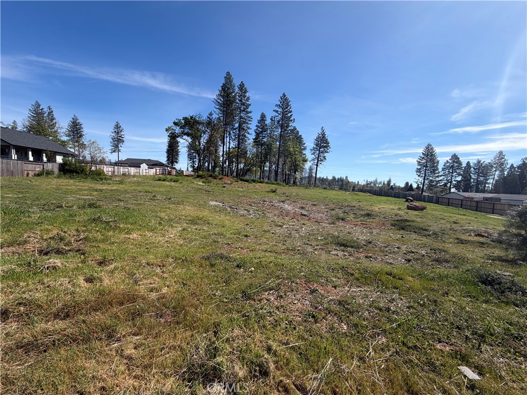 6588 Pentz Road Paradise, CA 95969 - Photo 3 of 10 a view of a field with trees in the background