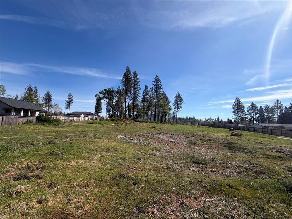 6588 Pentz Road Paradise, CA 95969 - Photo 7 of 10 a view of a field with large trees