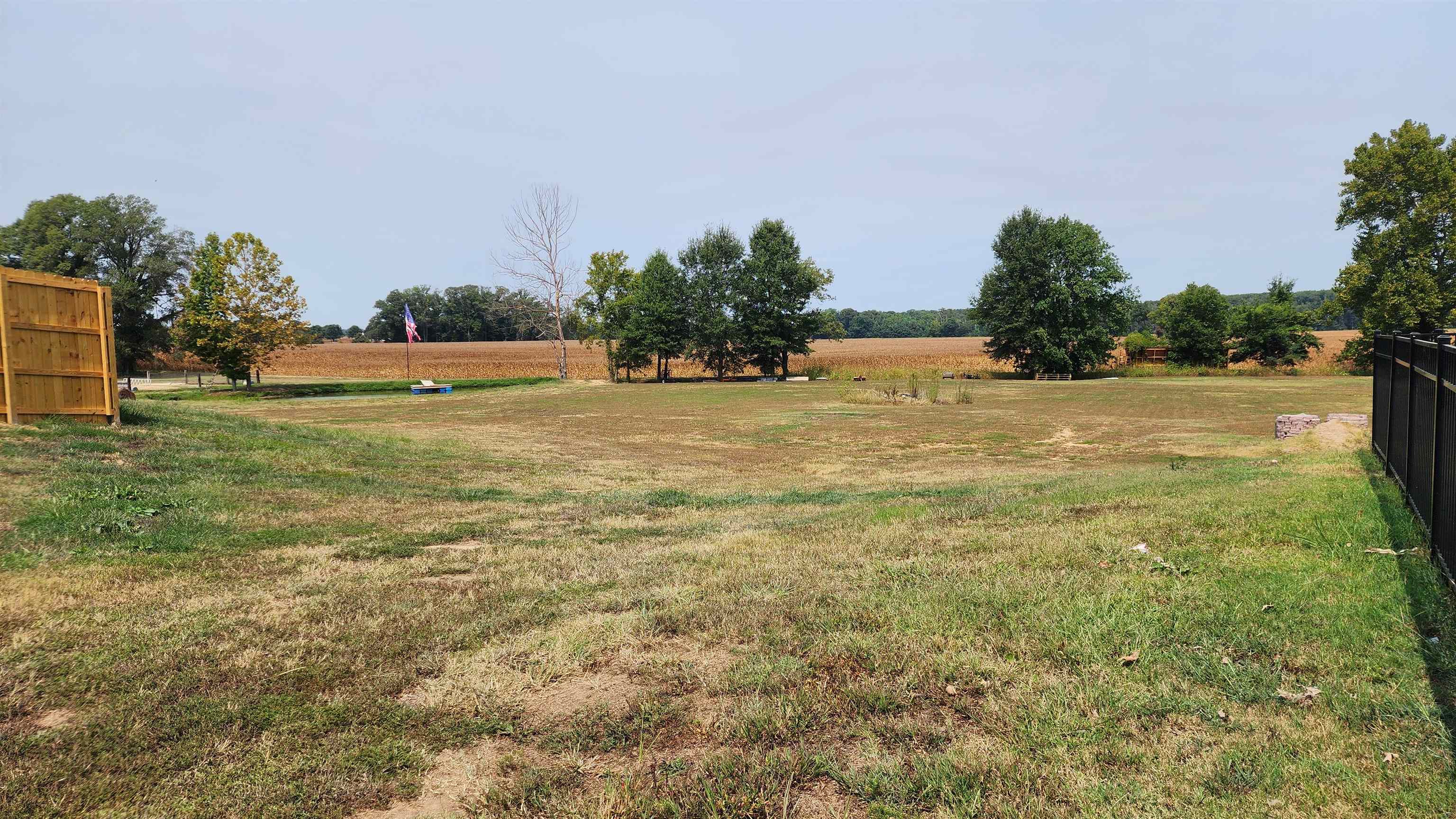 948 George Weakley Road Dyersburg, TN 38024 - Photo 17 of 31 a view of yard with ocean view