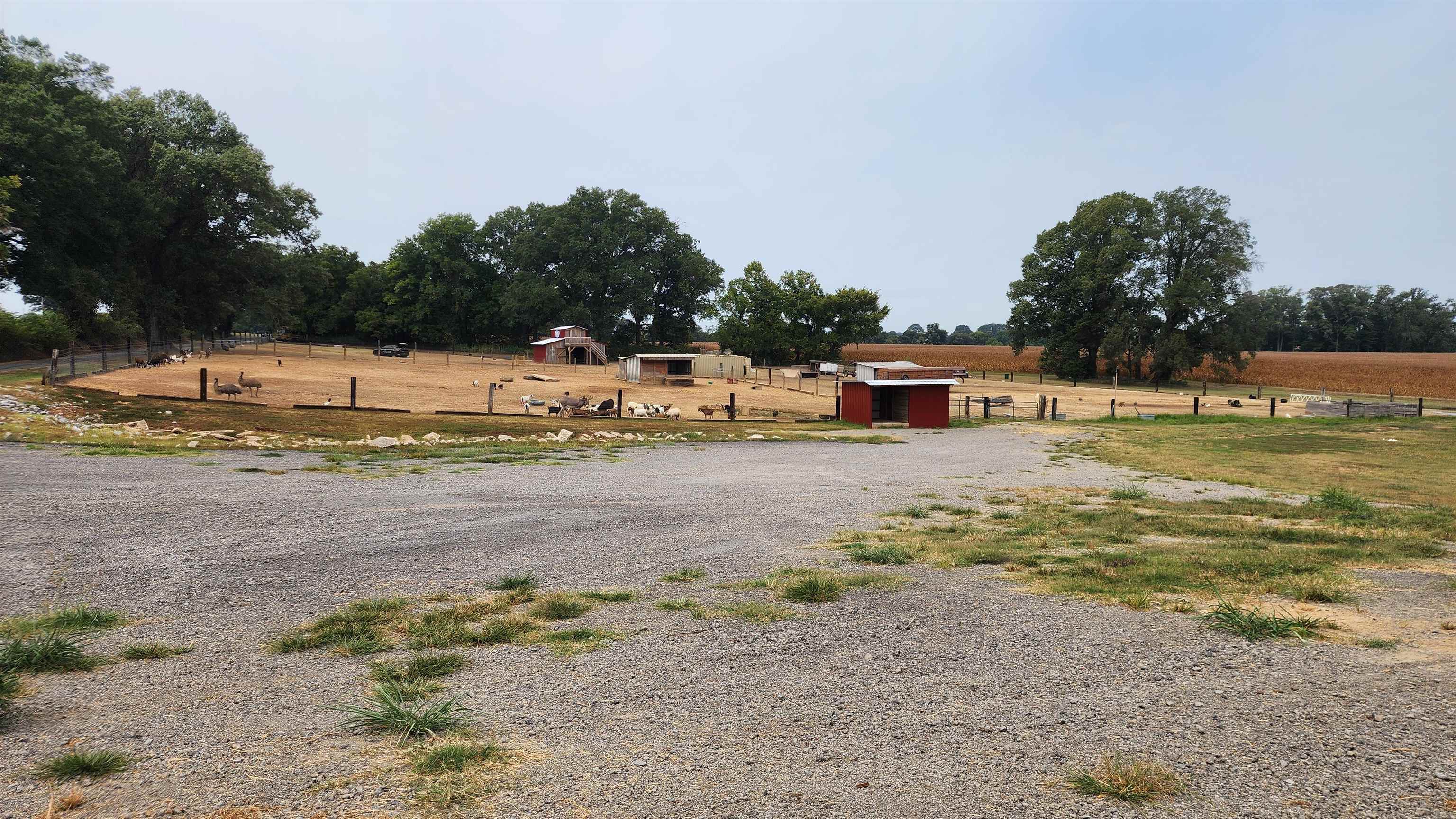 948 George Weakley Road Dyersburg, TN 38024 - Photo 28 of 31 a view of a swimming pool with a yard