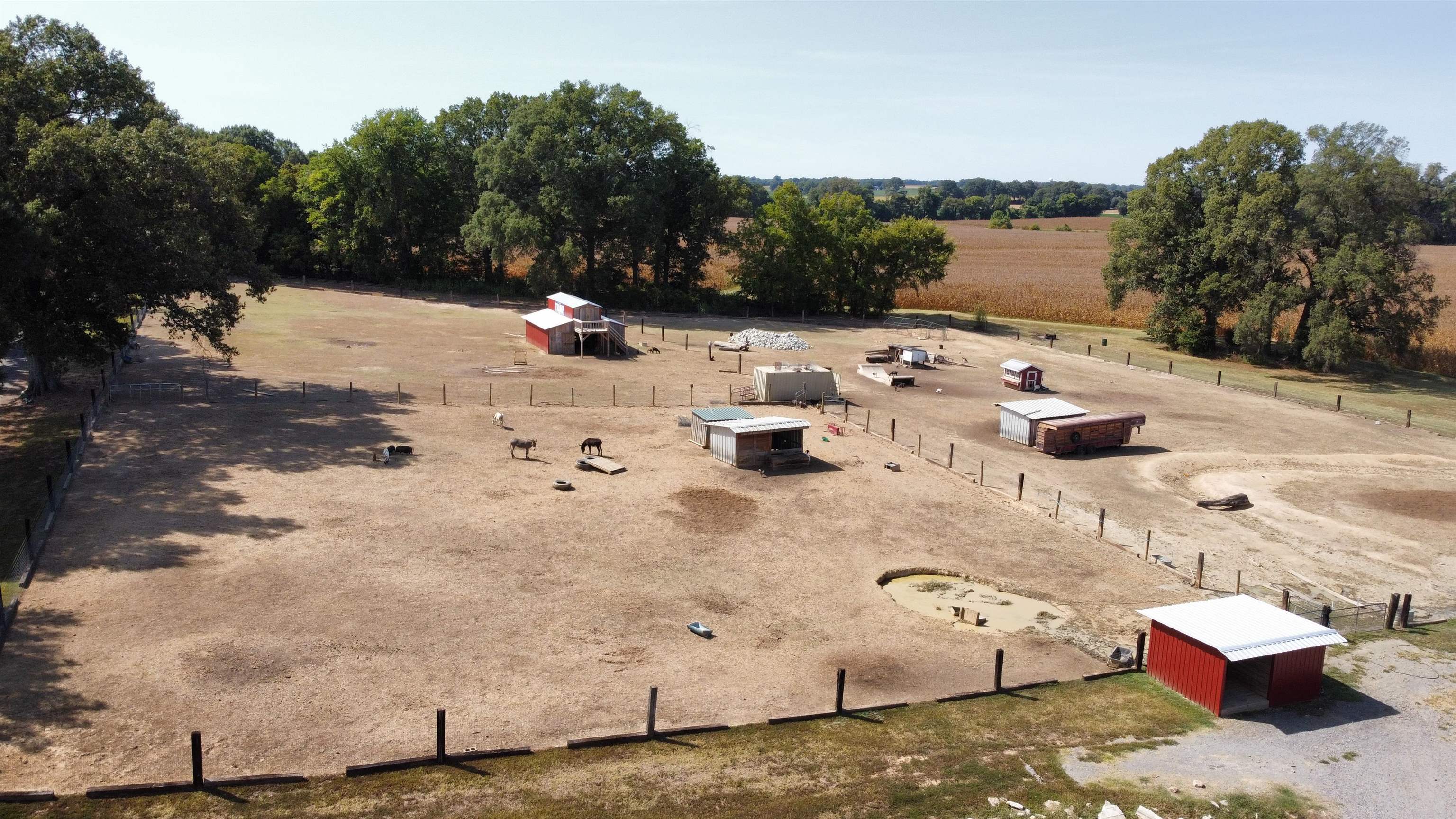 948 George Weakley Road Dyersburg, TN 38024 - Photo 29 of 31 a view of a terrace view