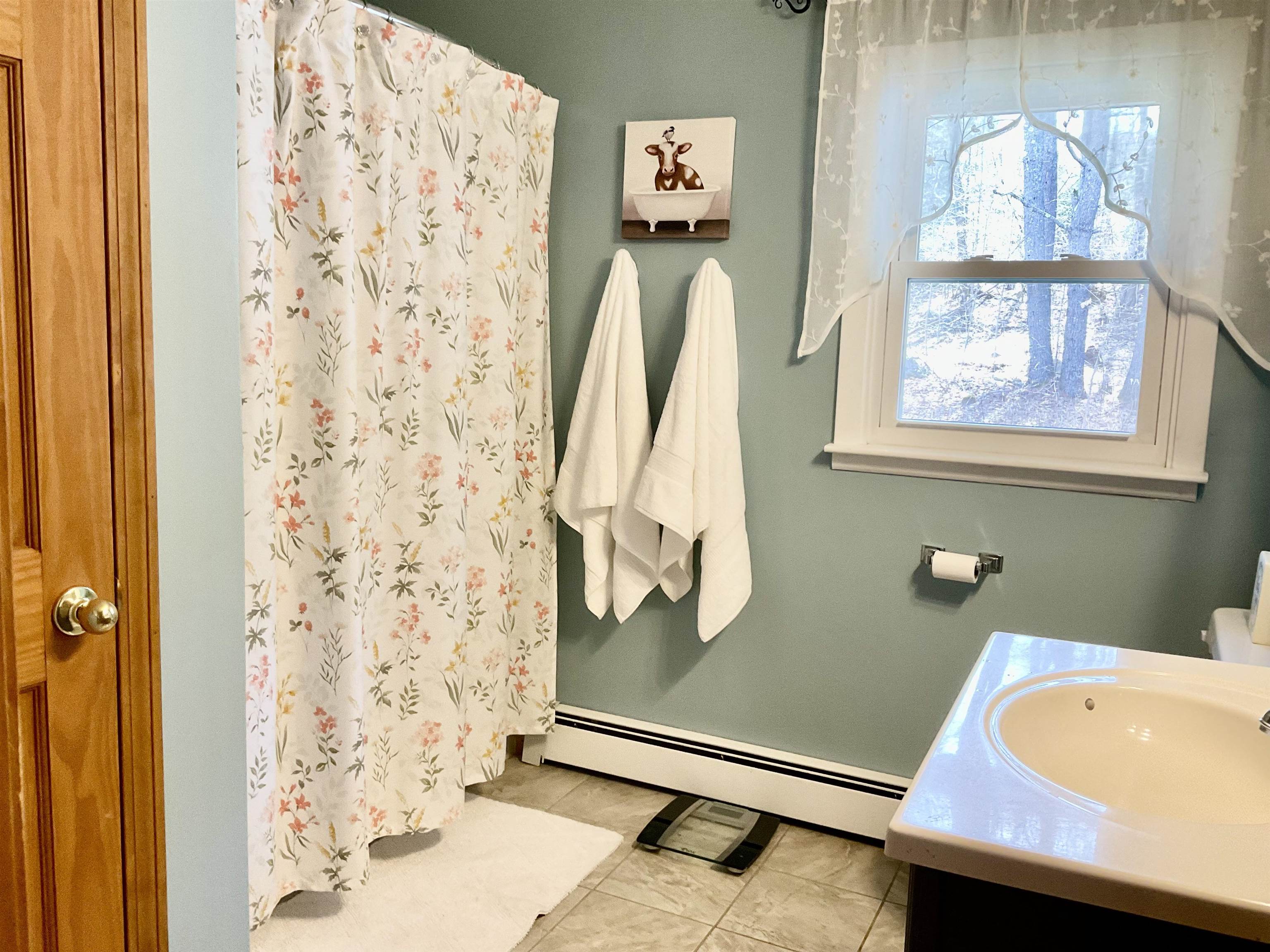 56 Horace Files Road Naples, ME 04055 - Photo 24 of 50