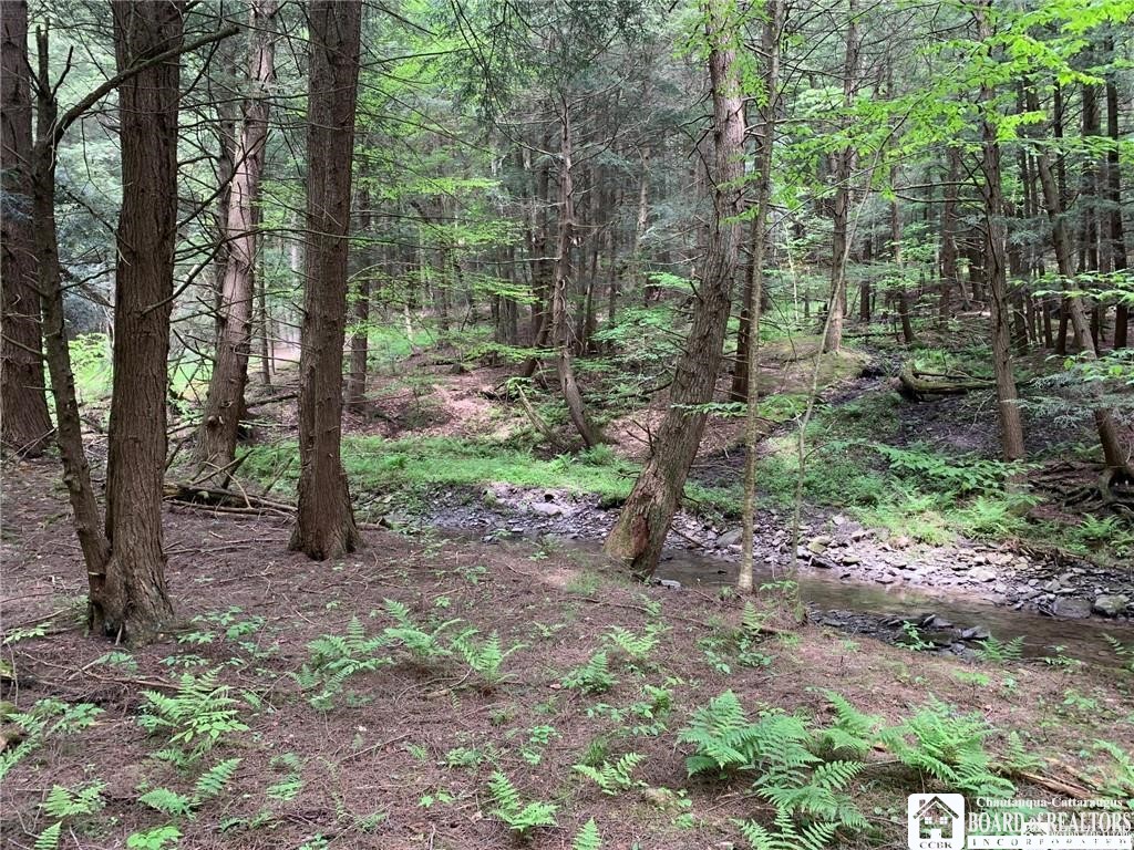 905 Waterman Road Kennedy, NY 14747 - Photo 21 of 35