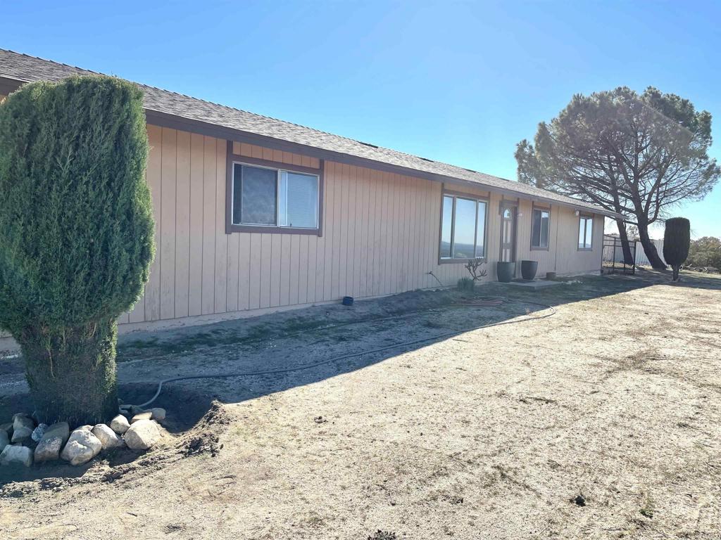1902 Tierra Del Sol Road Boulevard, CA 91905 - Photo 2 of 37 a backyard of a house with a large tree